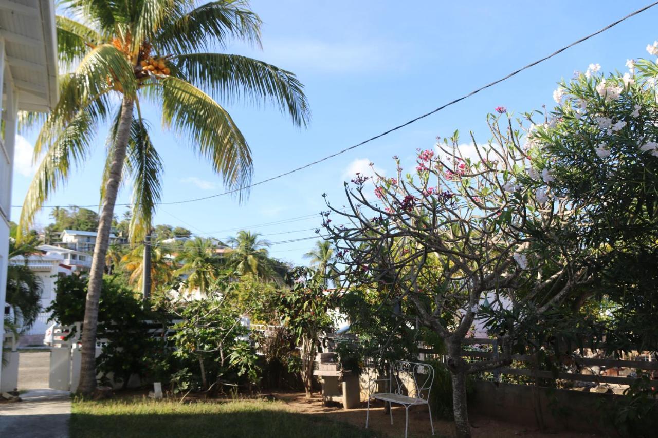 Le Colibri Et Le Frangipanier Apartment La Trinite Ngoại thất bức ảnh