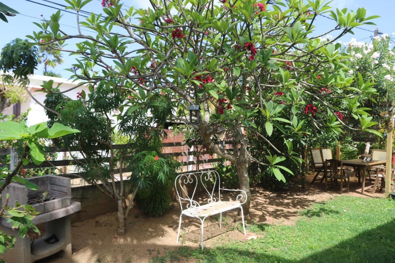 Le Colibri Et Le Frangipanier Apartment La Trinite Ngoại thất bức ảnh