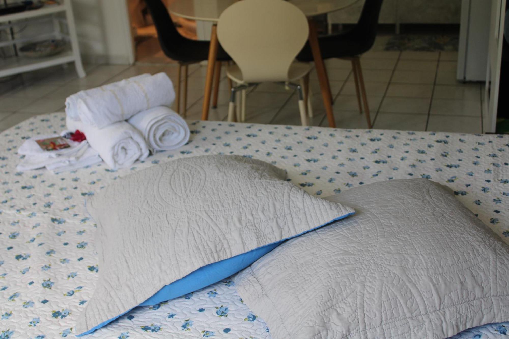 Le Colibri Et Le Frangipanier Apartment La Trinite Ngoại thất bức ảnh