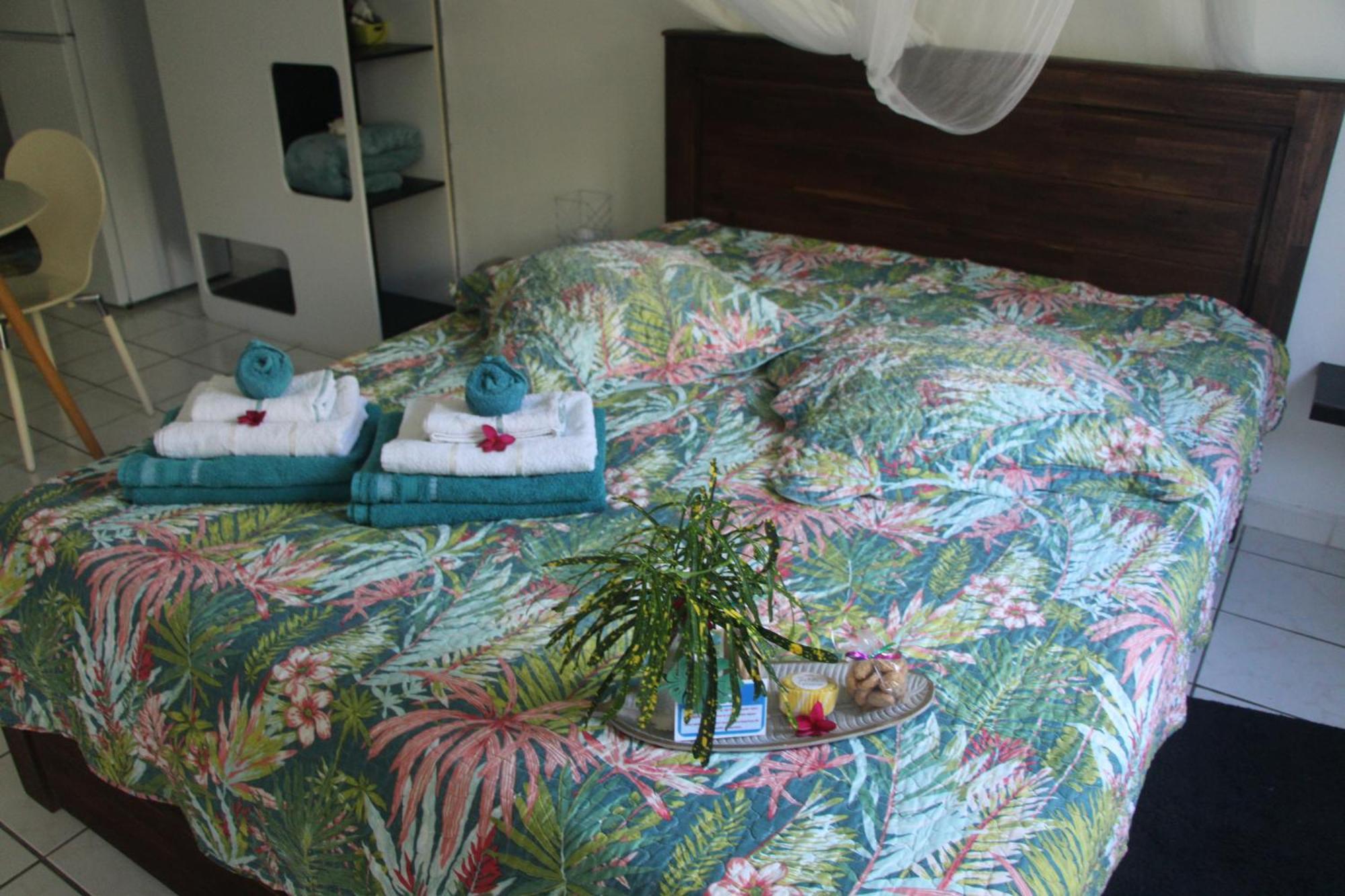 Le Colibri Et Le Frangipanier Apartment La Trinite Ngoại thất bức ảnh
